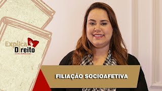 Explica Direito Filiação Socioafetiva  2019 [upl. by Eanat]